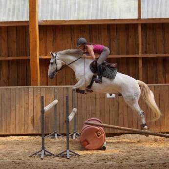 10599349_994679250560956_1183693202315535329_n