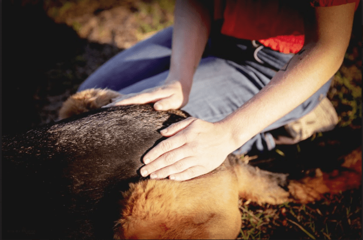 Screen Shot 2019-03-28 at 12.36.40 PM