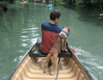 Screen Shot 2019-04-29 at 1.20.32 PM