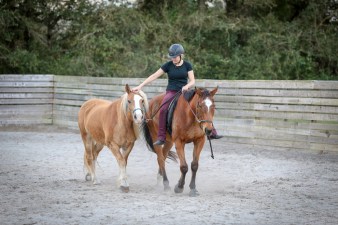 MMP_0288©meg-mcguire.com