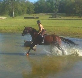 FB_IMG_1590682747294